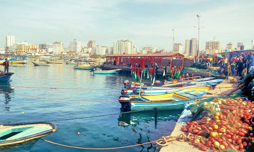 bntpal.com_146133060