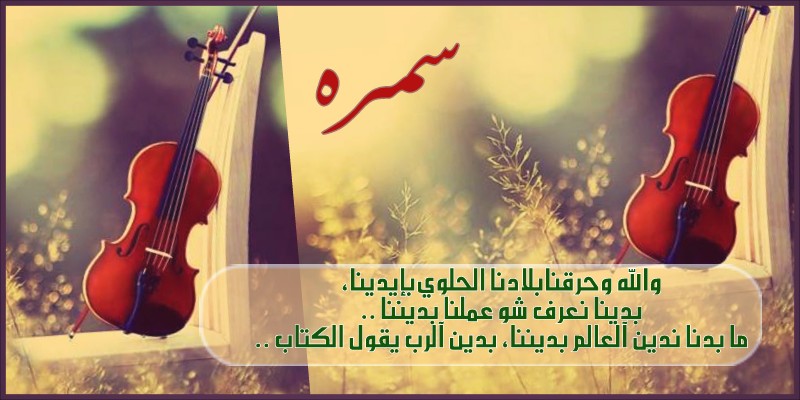 bntpal.com_146150742