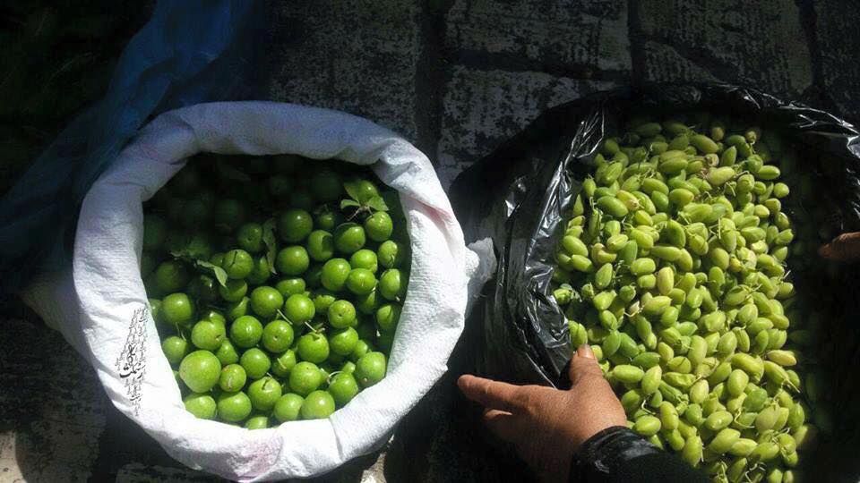 bntpal.com_146157452