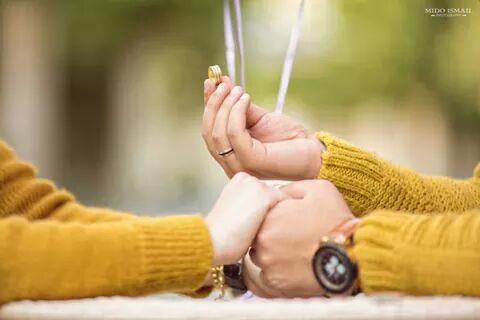 ..♥ bntpal.com_146157593