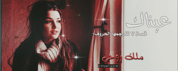 bntpal.com_146161774