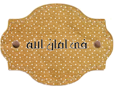   bntpal.com_146179147