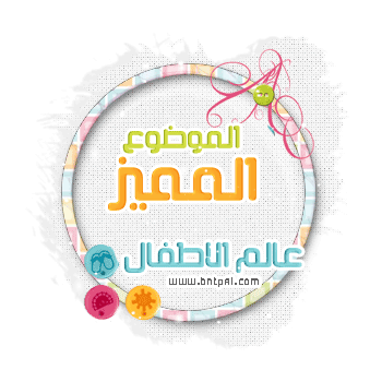 bntpal.com_146186073
