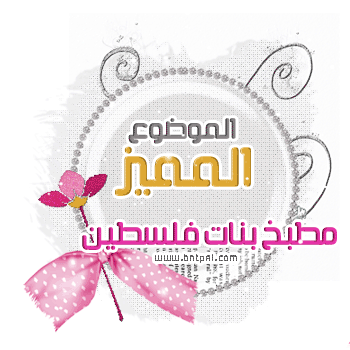  bntpal.com_146186073