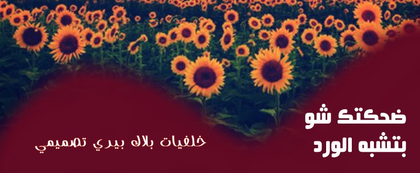  🌸🌼 bntpal.com_146193102