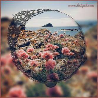 🌸🌼 bntpal.com_146193102