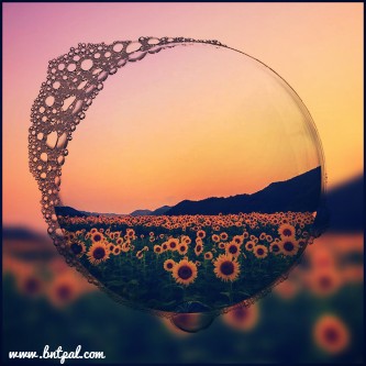 🌸🌼 bntpal.com_146193102