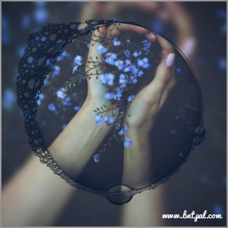 🌸🌼 bntpal.com_146193102