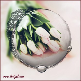  🌸🌼 bntpal.com_146193102