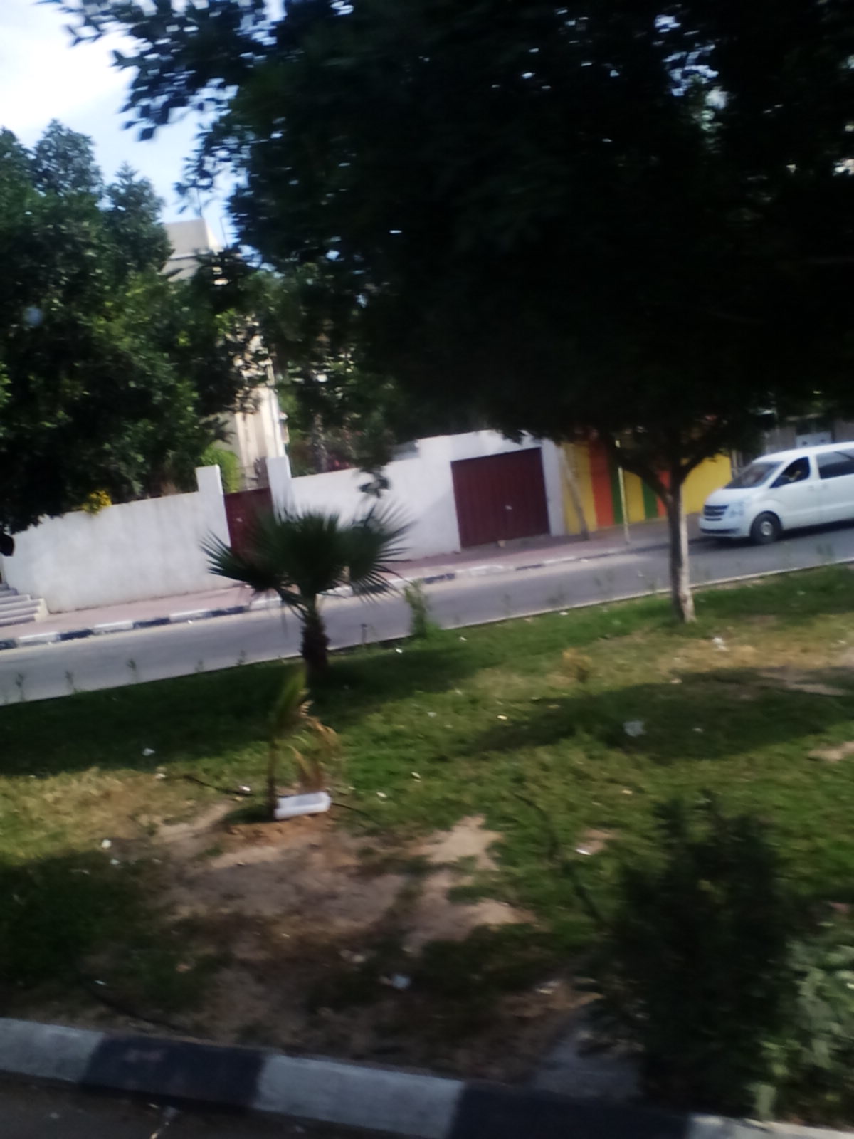  bntpal.com_146212100