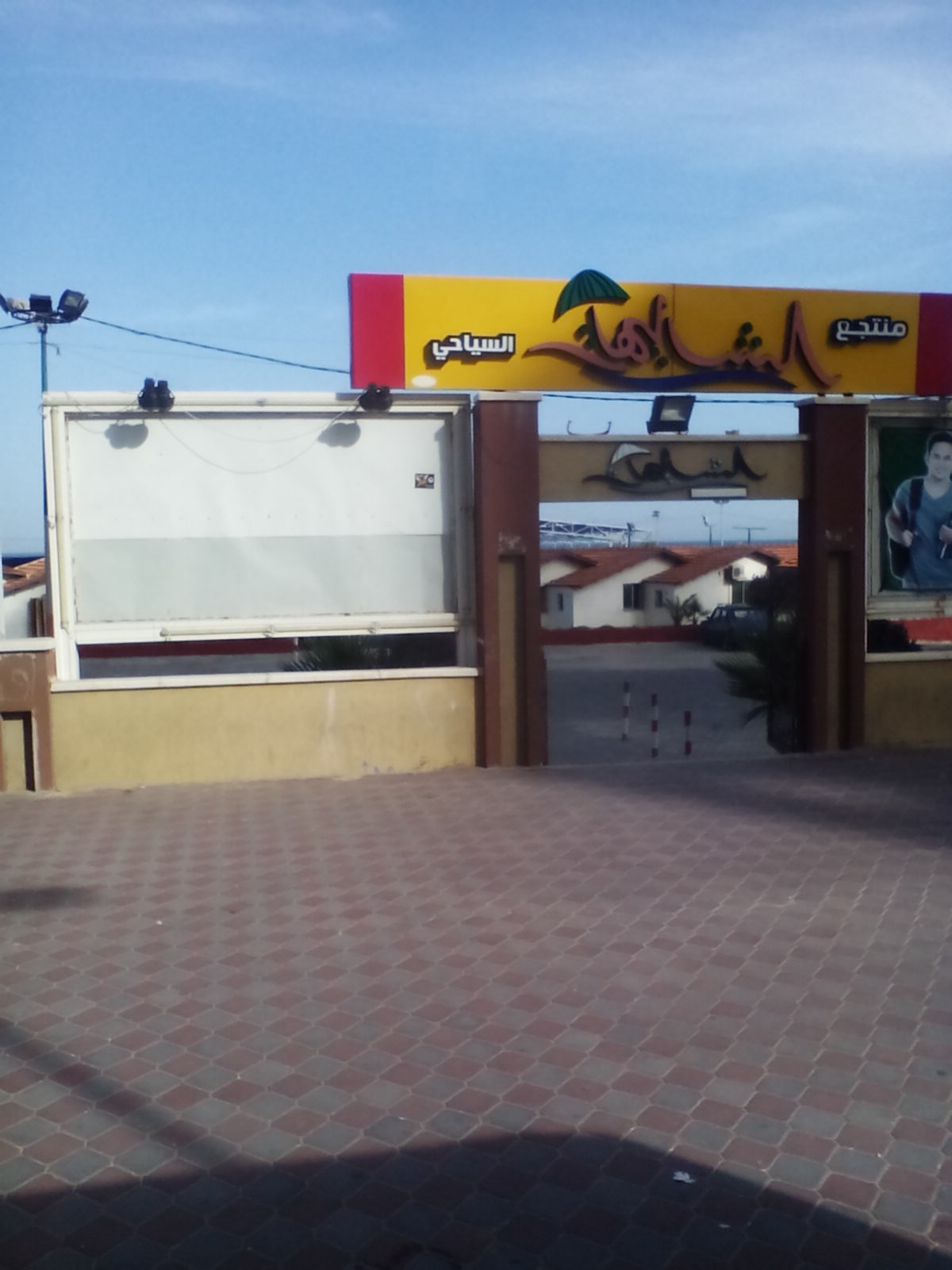  bntpal.com_146212100