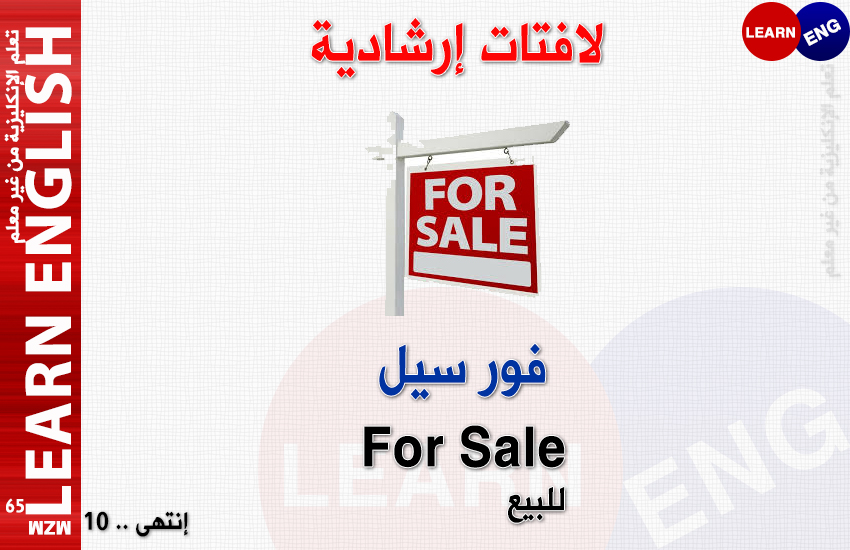  bntpal.com_146234160
