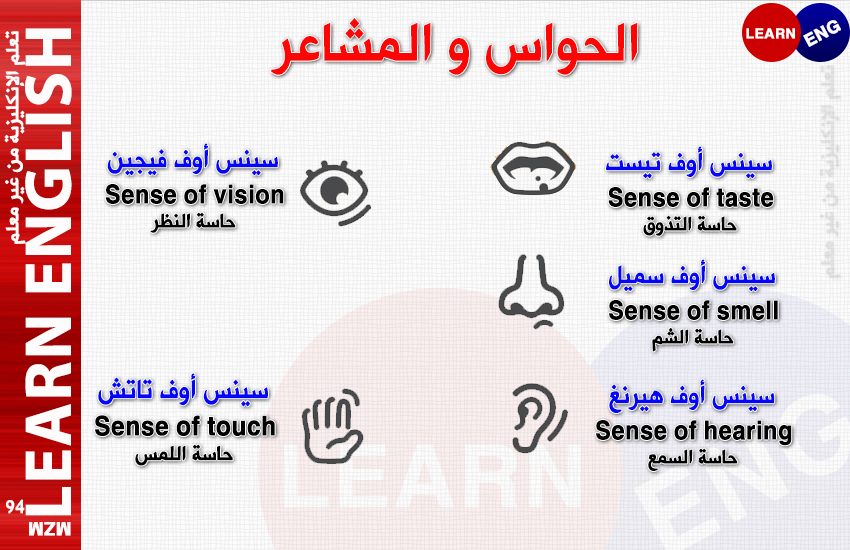bntpal.com_146269725