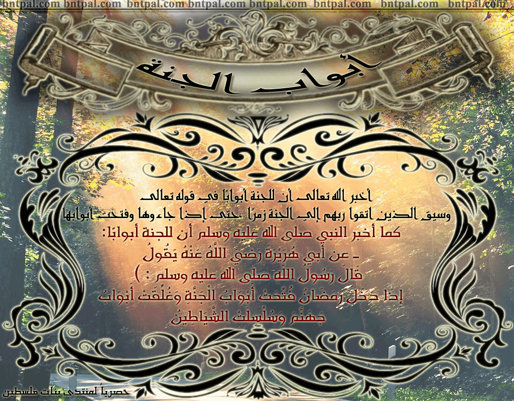 bntpal.com_146276954