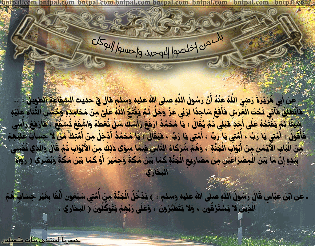 bntpal.com_146276962