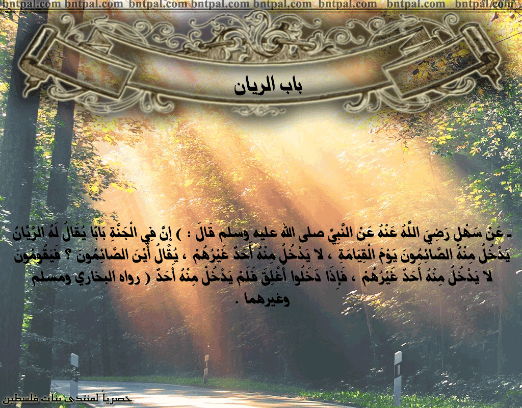 bntpal.com_146276962