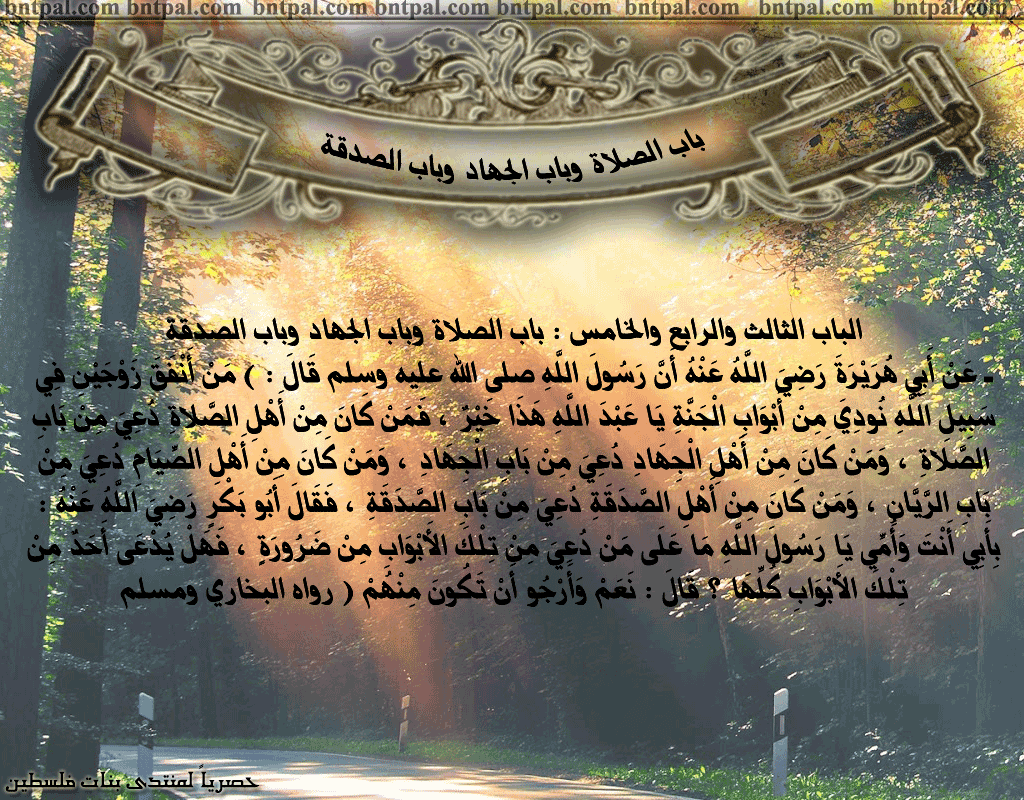 bntpal.com_146276975