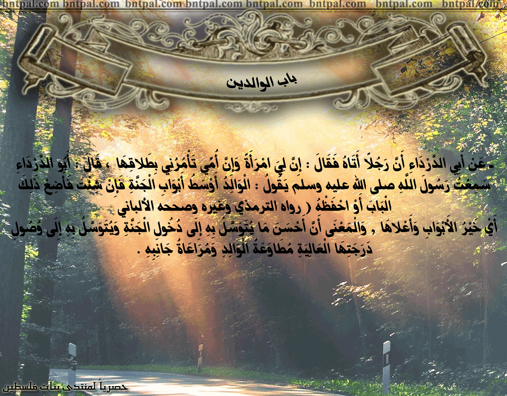 bntpal.com_146276975
