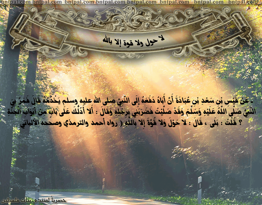 bntpal.com_146276992