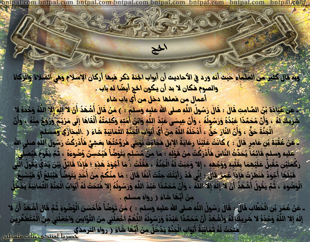 bntpal.com_146276992