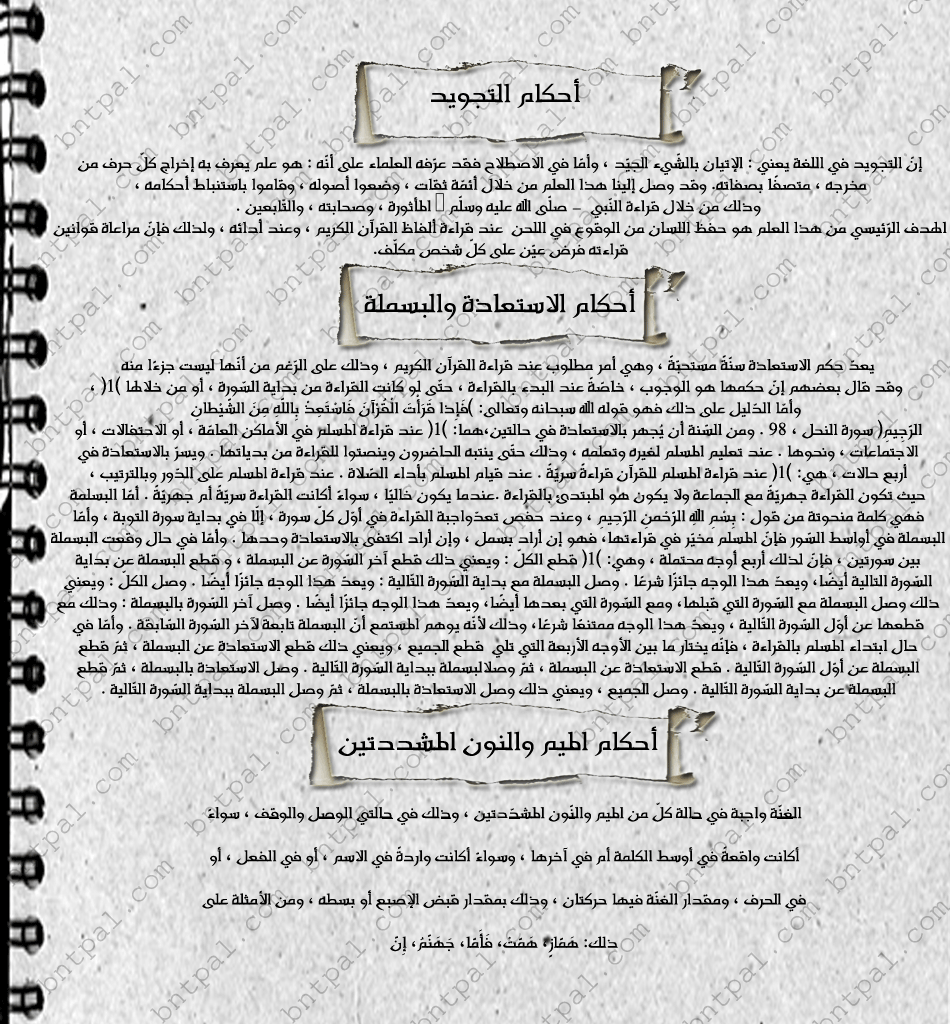 bntpal.com_146277826