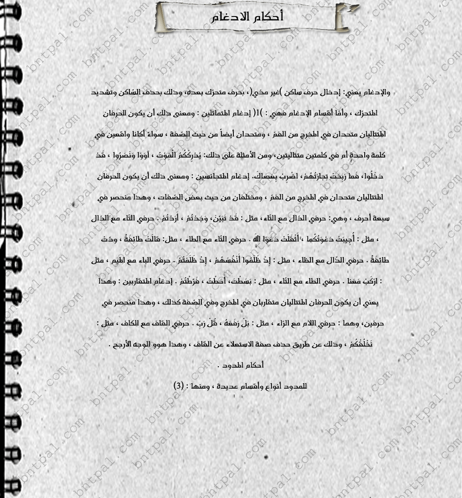 bntpal.com_146277921