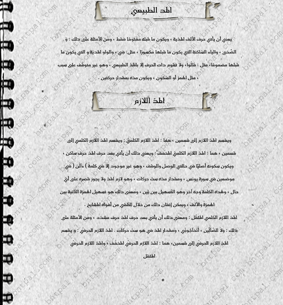 bntpal.com_146277948