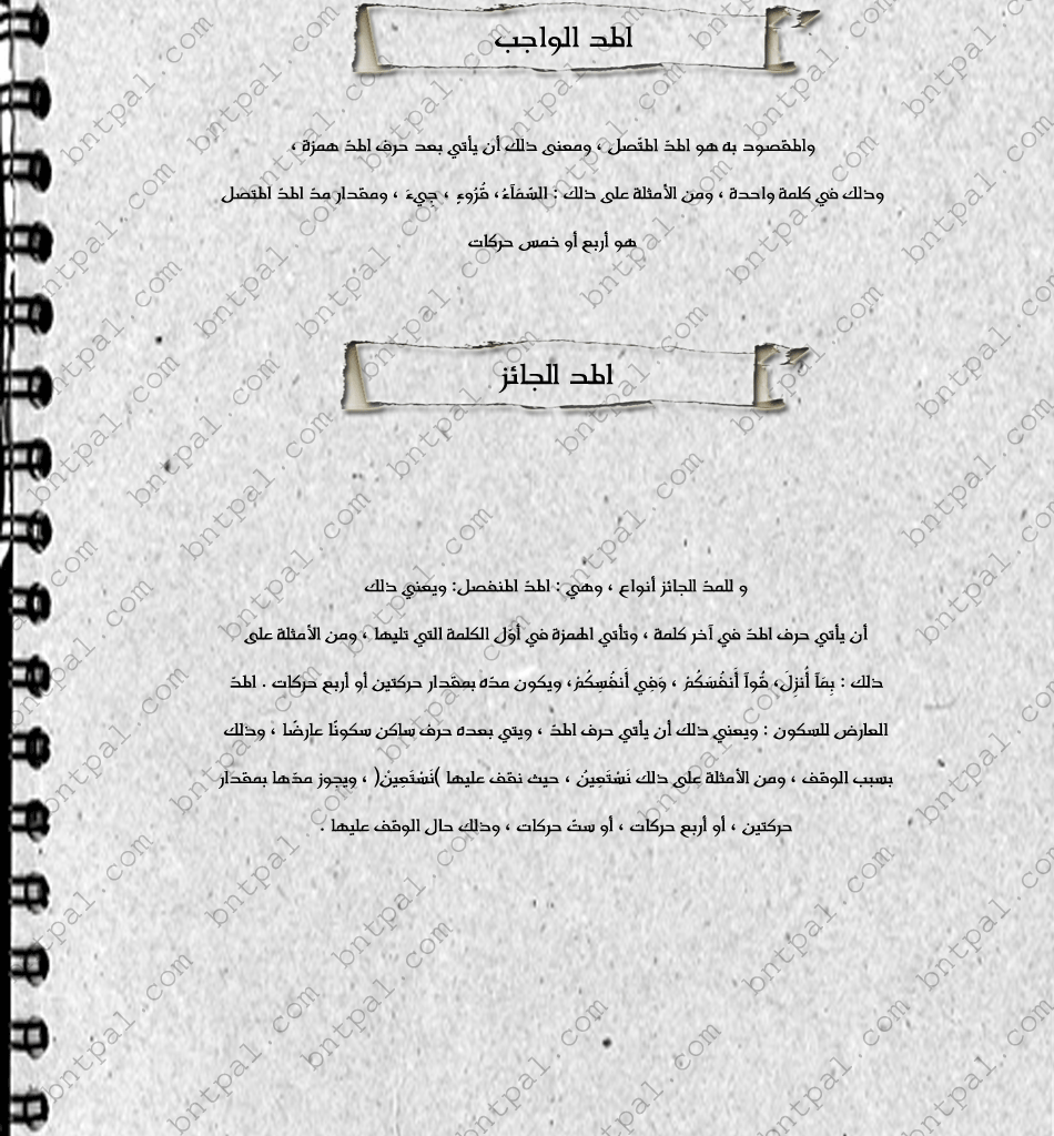 bntpal.com_146277967