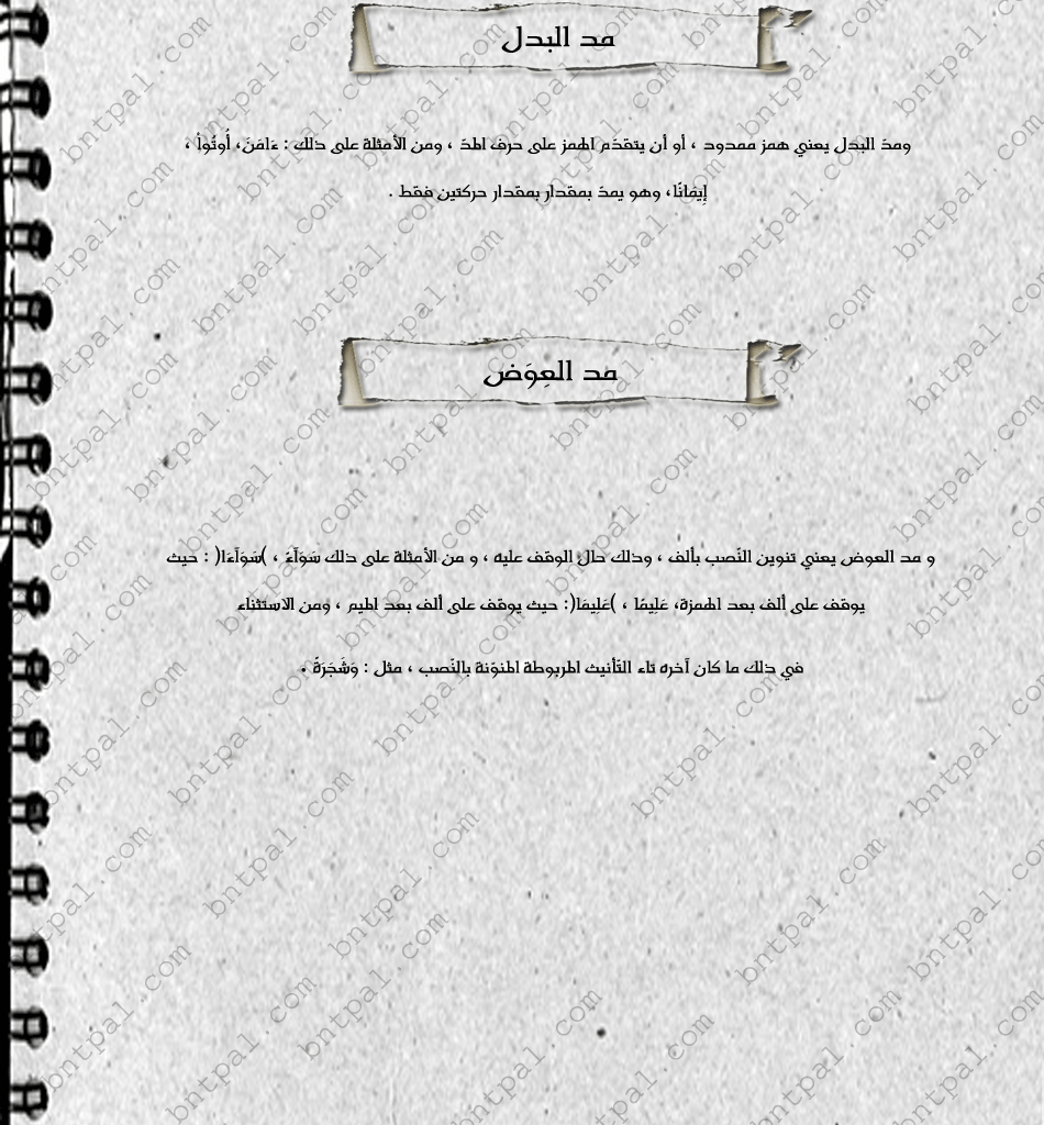 bntpal.com_146277977