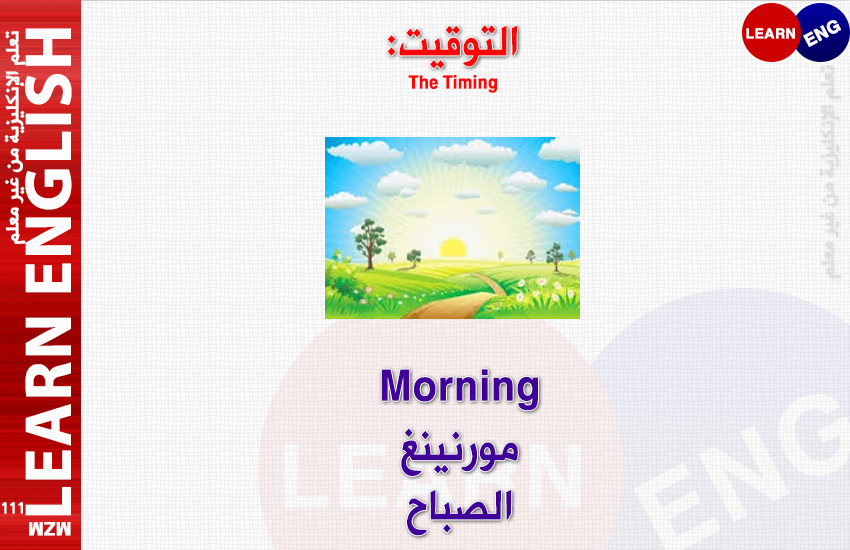 bntpal.com_146287773