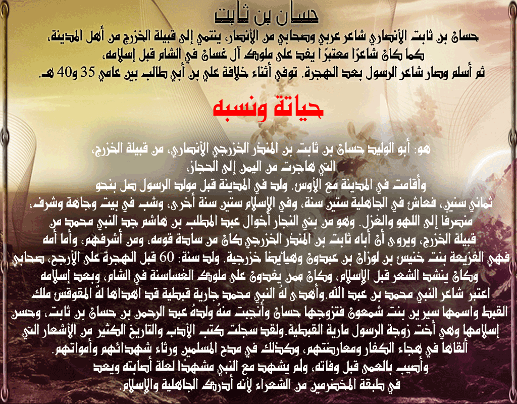 bntpal.com_146295259
