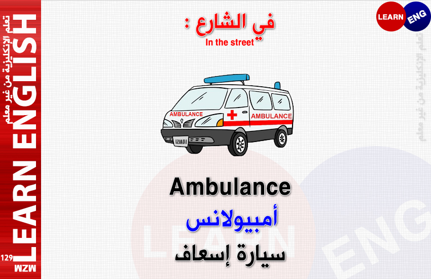 bntpal.com_146305056