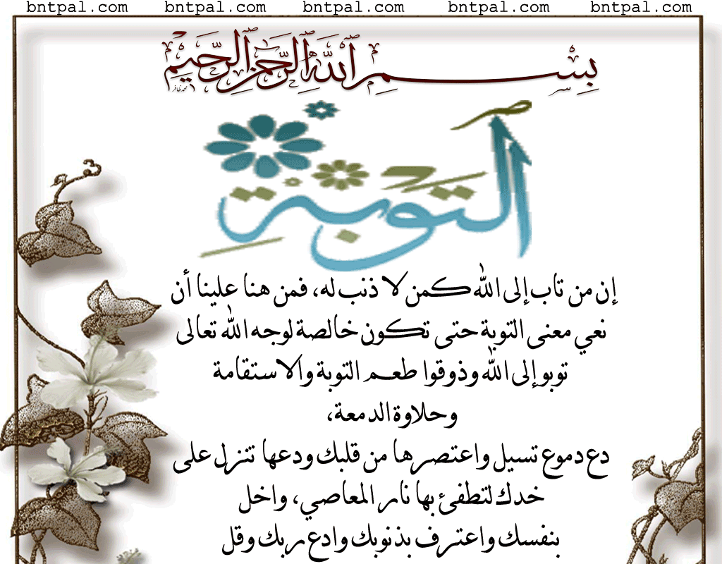.. bntpal.com_146382358