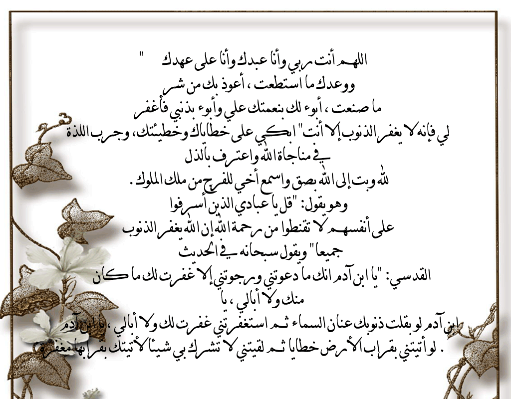 .. bntpal.com_146382358