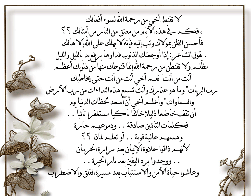 .. bntpal.com_146382358