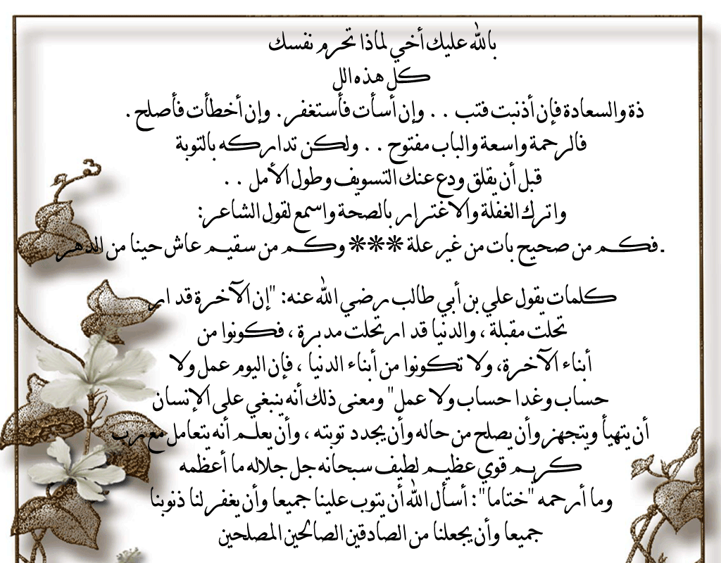 .. bntpal.com_146382358