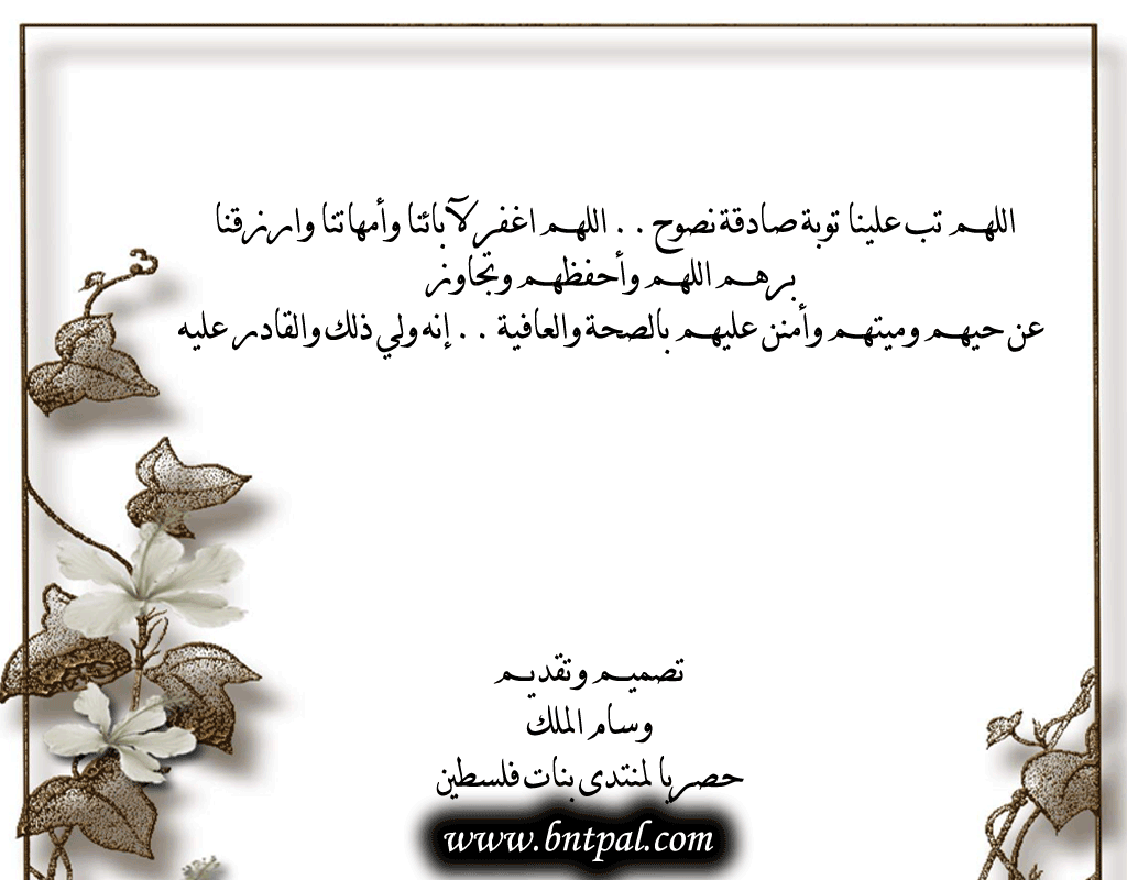 .. bntpal.com_146382358