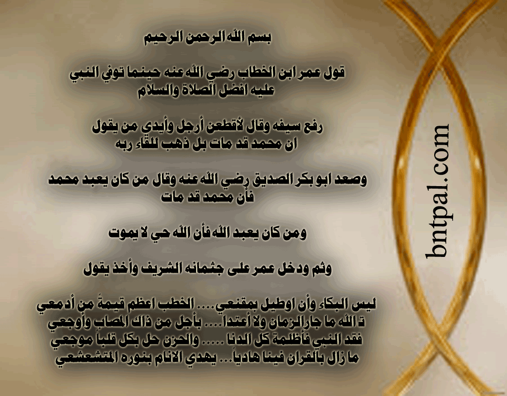 bntpal.com_146407274