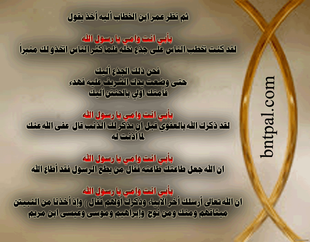 bntpal.com_146407274