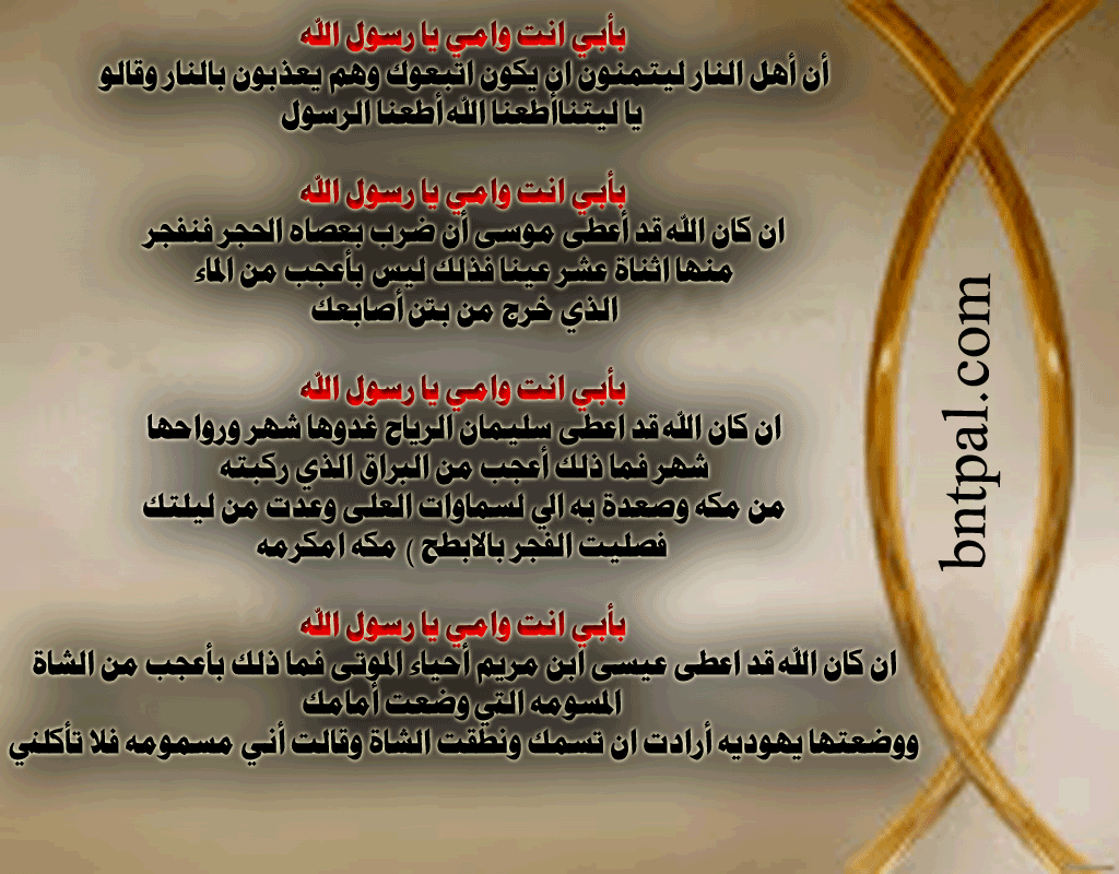 bntpal.com_146407274