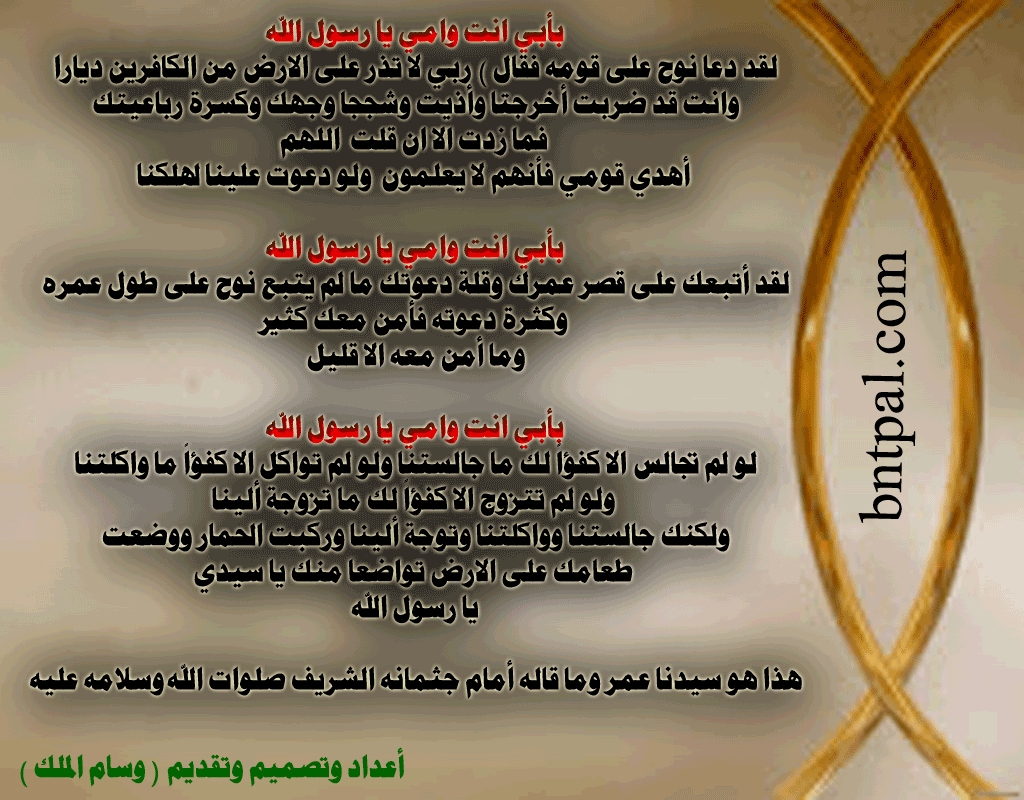 bntpal.com_146407296