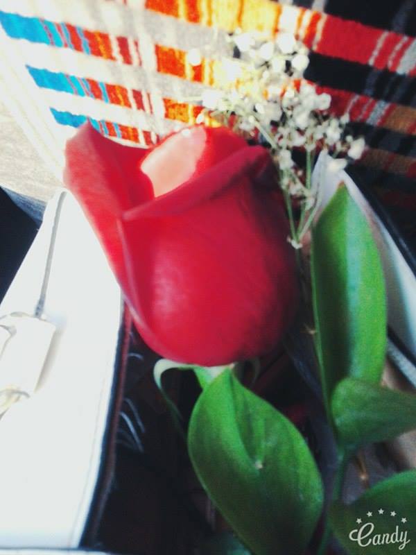 ɡ  ♥ bntpal.com_146433733