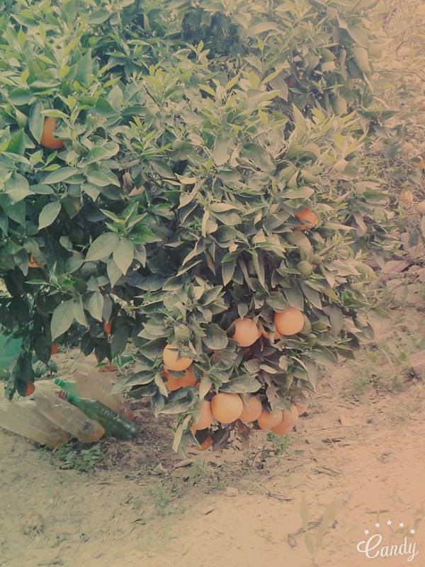ɡ  ♥ bntpal.com_146433733
