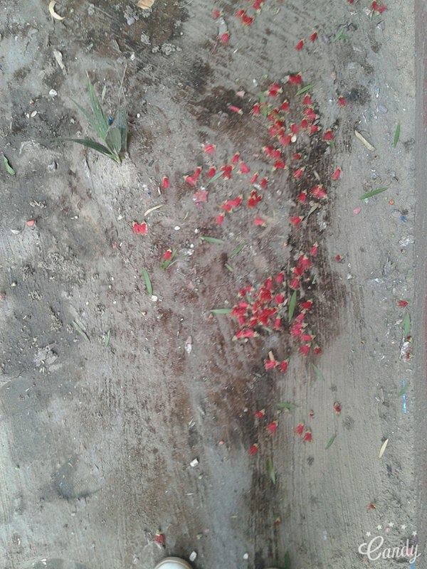 ɡ  ♥ bntpal.com_146433733