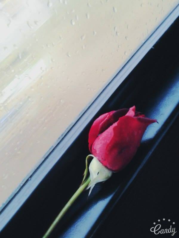 ɡ  ♥ bntpal.com_146433733