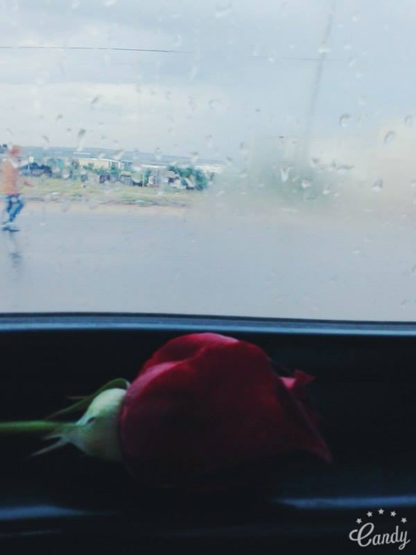 ɡ  ♥ bntpal.com_146433768