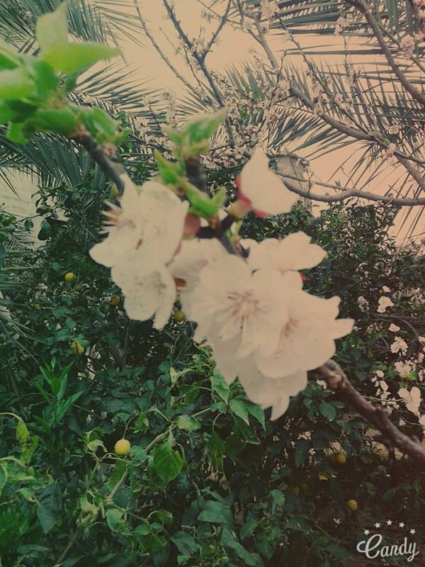 ɡ  ♥ bntpal.com_146433768