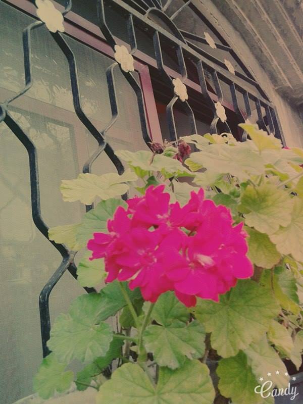 ɡ  ♥ bntpal.com_146433768