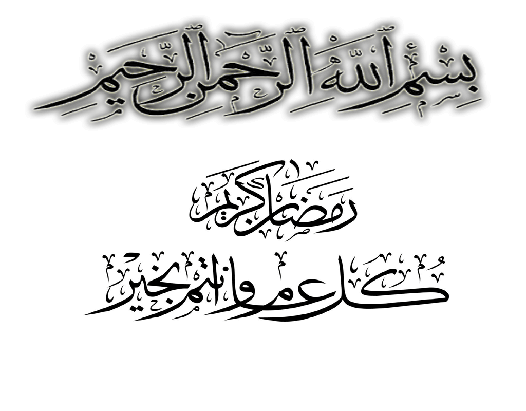  bntpal.com_146443346