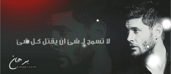  bntpal.com_146443808